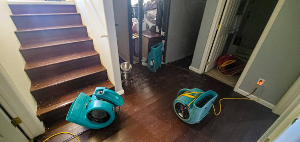 Best Mold removal after water damage  in Norman, OK