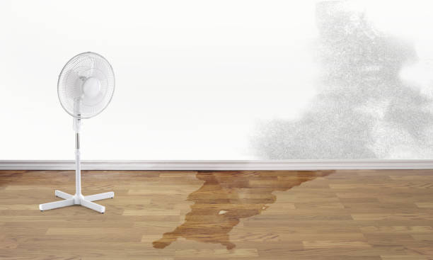 Best Water damage restoration cost  in Norman, OK