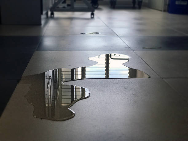 Best Water damage cleanup near me  in Norman, OK