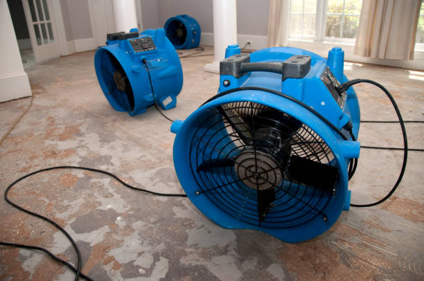 Best Carpet water damage restoration  in Norman, OK