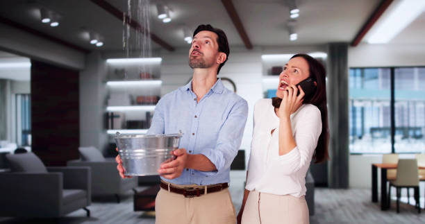 Best Mold removal after water damage  in Norman, OK