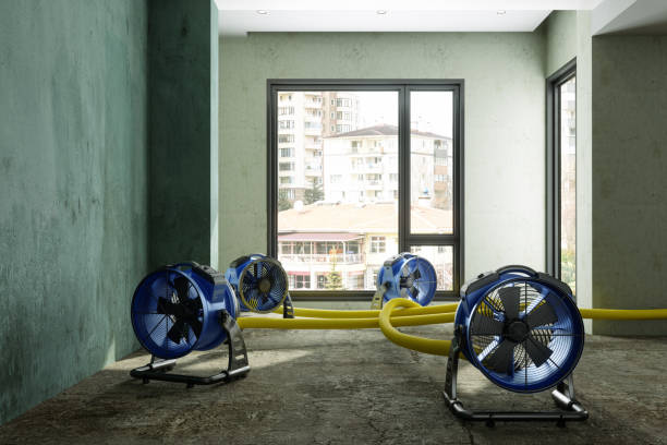 Best Water damage restoration near me  in Norman, OK